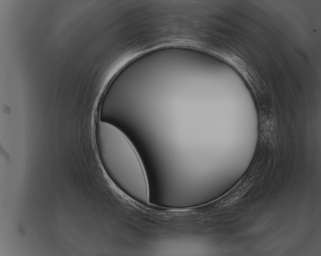 X0000091091151200708060953