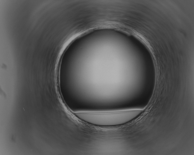 X0000091091152200708060953