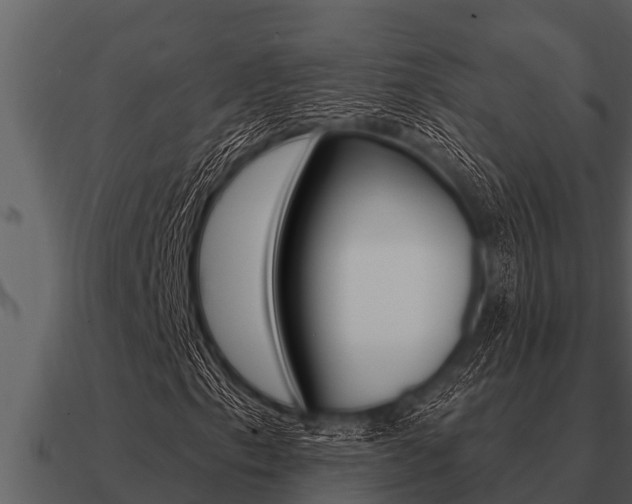 X0000091091153200708060953