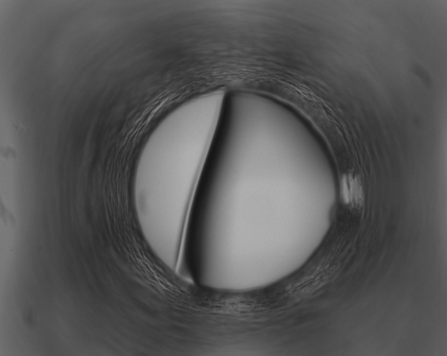 X0000091091155200708060953
