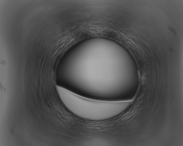 X0000091091156200708060953
