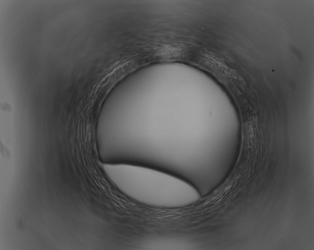 X0000091091158200708060953