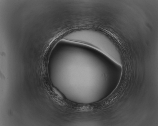 X0000091091160200708060953