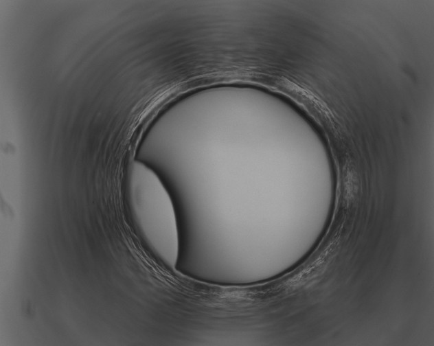 X0000091091162200708060953