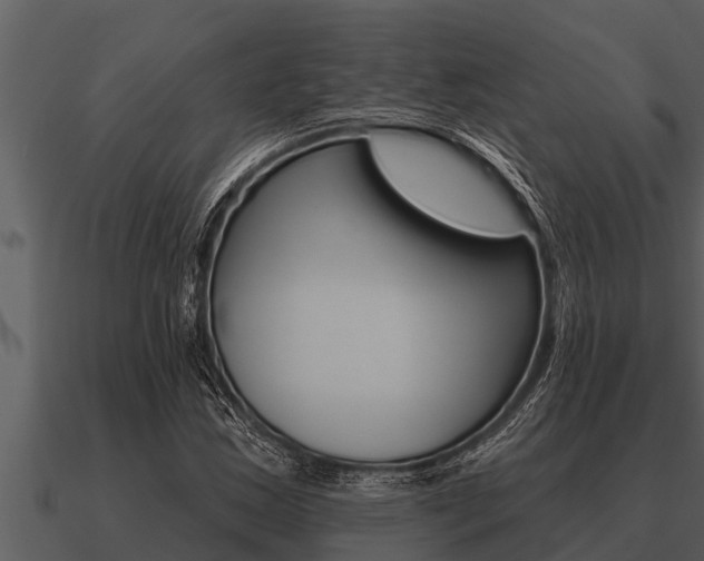 X0000091091163200708060952