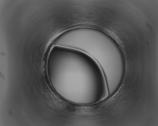 X0000091091164200708060952