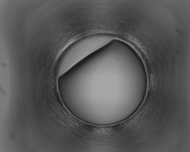 X0000091091165200708060952
