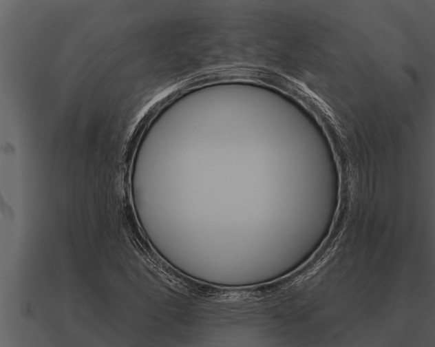 X0000091091166200708060952