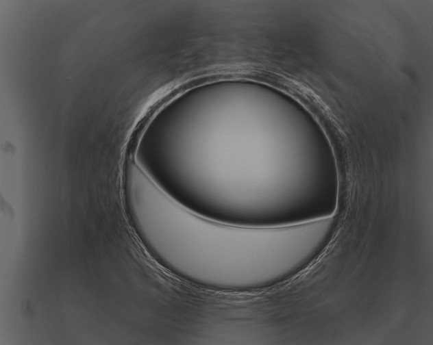 X0000091091168200708060952