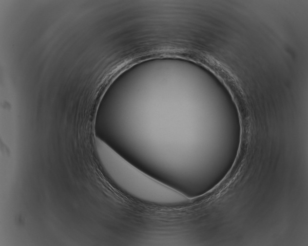 X0000091091169200708060952