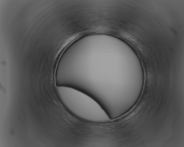 X0000091091170200708060952