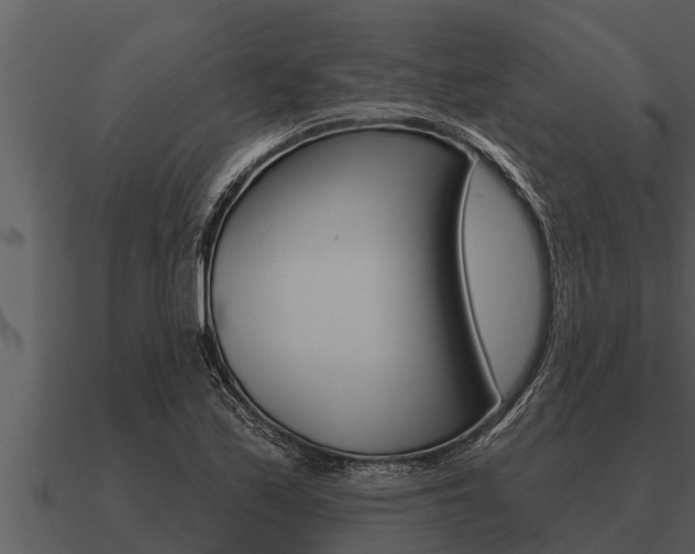 X0000091091171200708060952