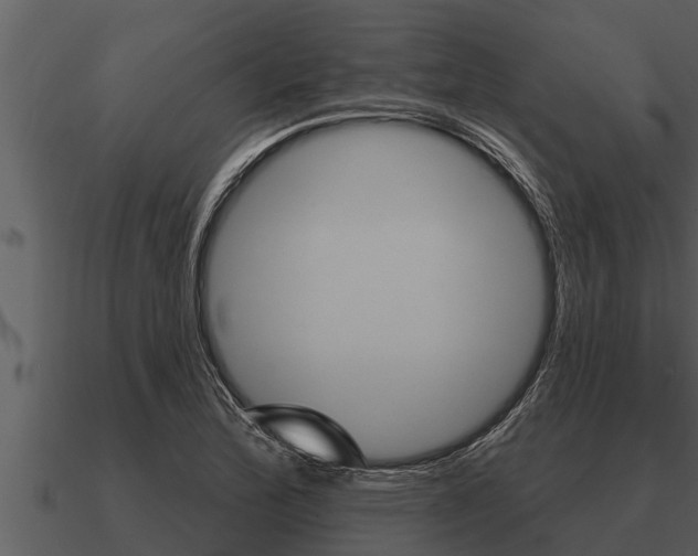 X0000091091172200708060952