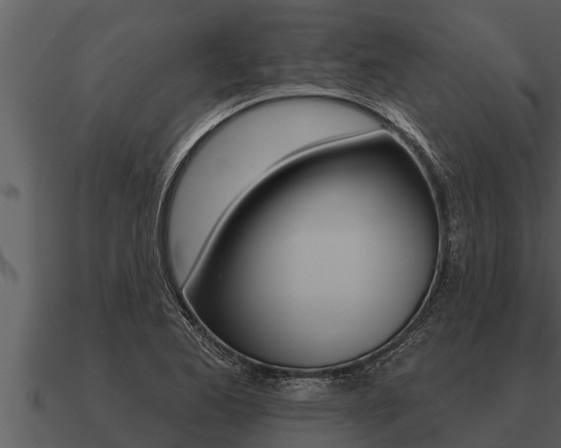 X0000091091173200708060952