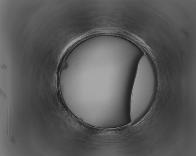 X0000091091174200708060952