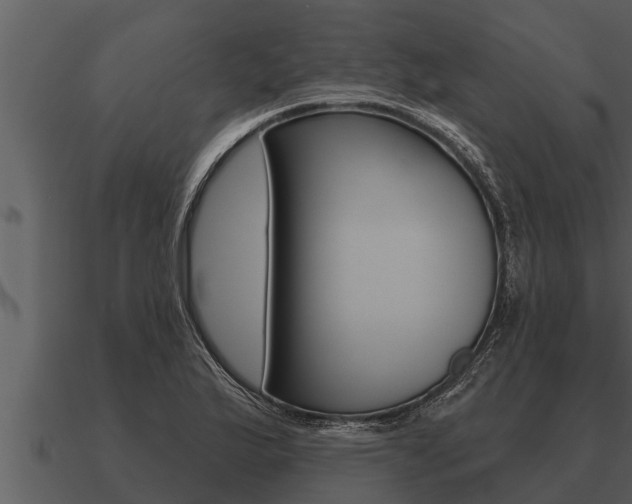 X0000091091175200708060952
