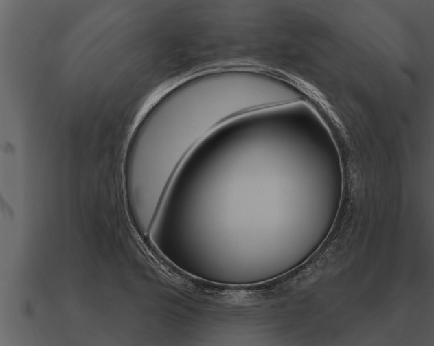 X0000091091176200708060952