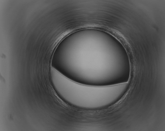 X0000091091177200708060952