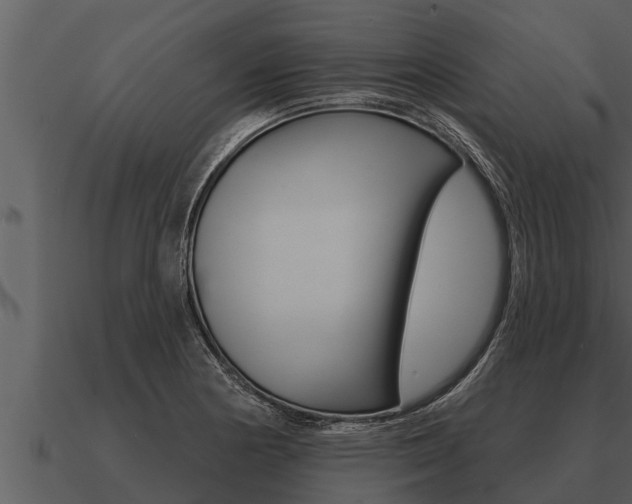 X0000091091178200708060952