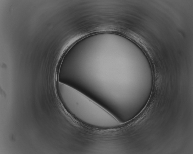 X0000091091179200708060952