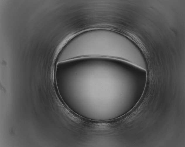 X0000091091180200708060952