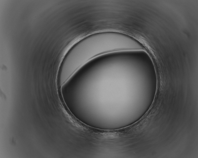 X0000091091181200708060952