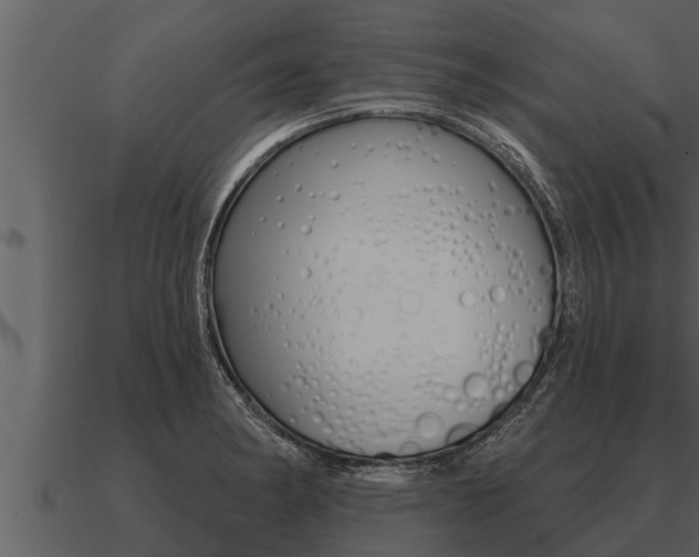 X0000091091182200708060952