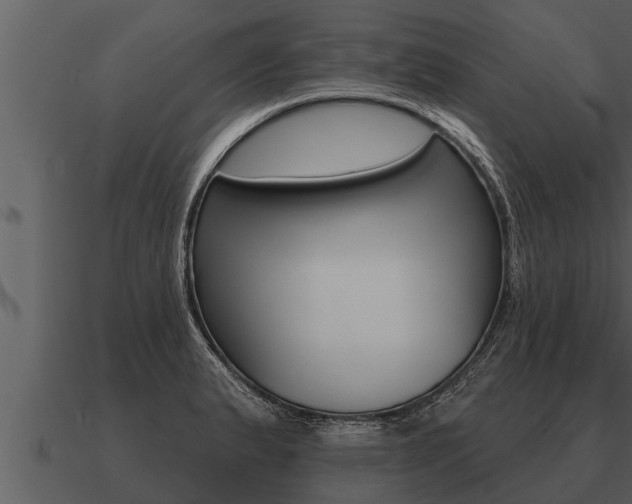 X0000091091183200708060952