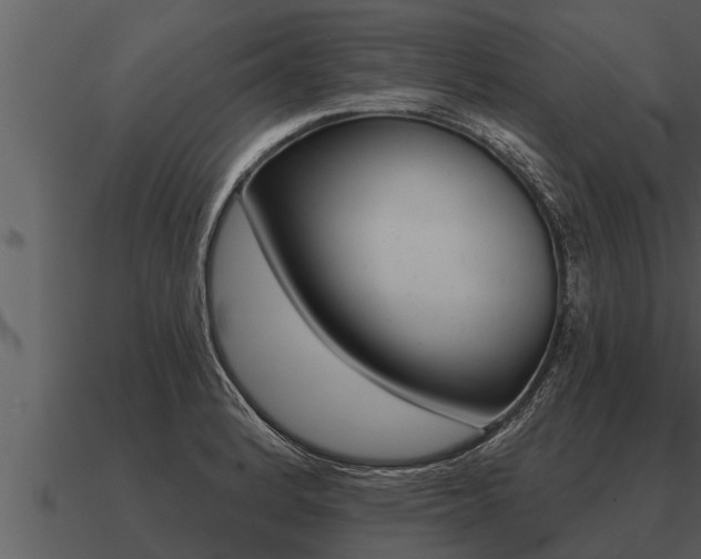 X0000091091184200708060952