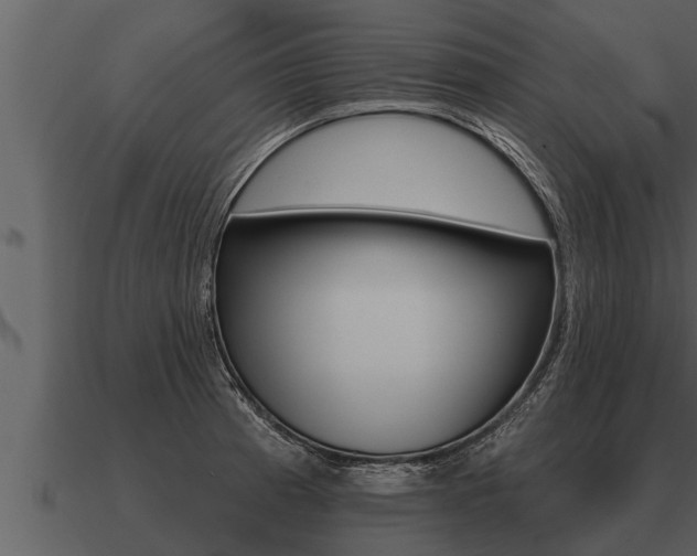 X0000091091185200708060952