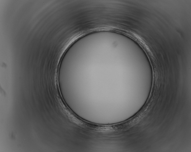X0000091091186200708060952