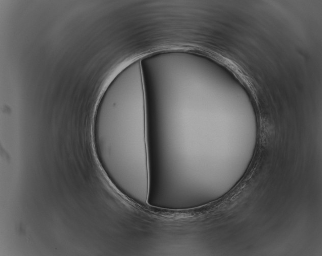 X0000091091187200708060952
