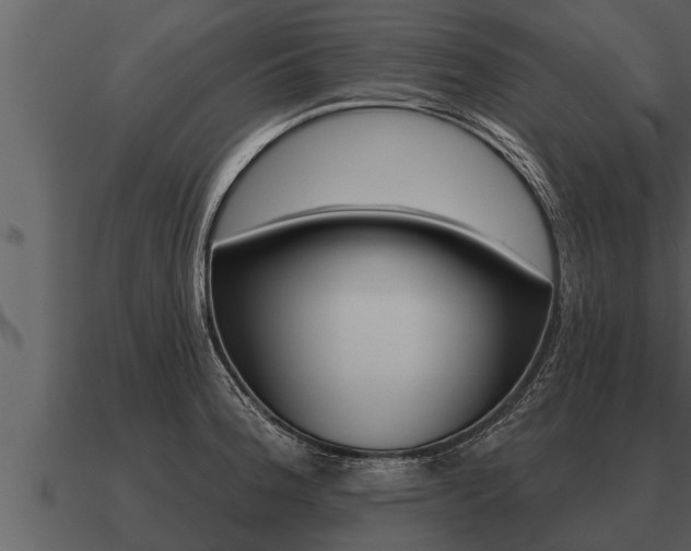X0000091091188200708060952
