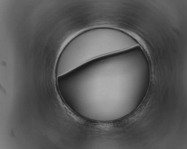 X0000091091191200708060952