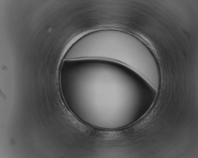 X0000091091192200708060952