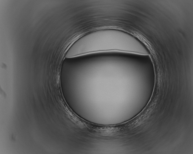 X0000091091193200708060952