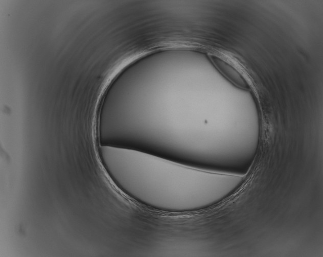 X0000091091195200708060952