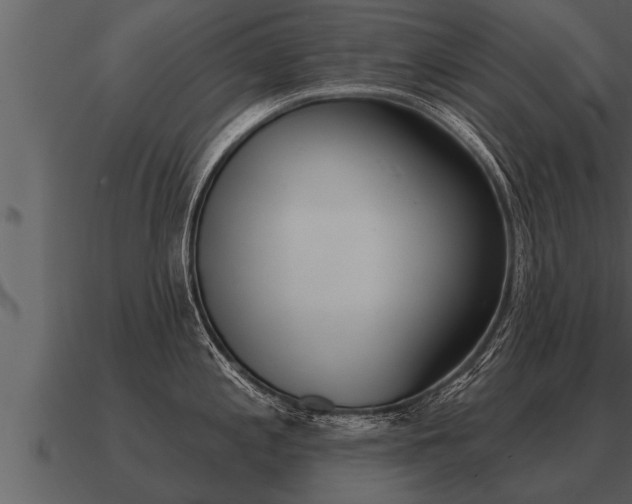 X0000091091197200708060952