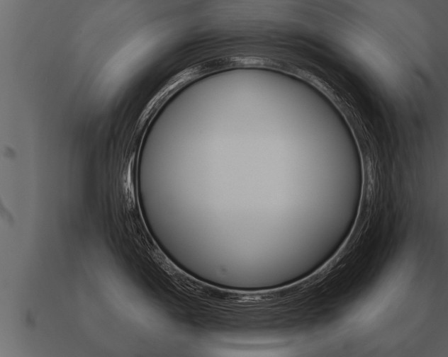 X0000091091198200708060952