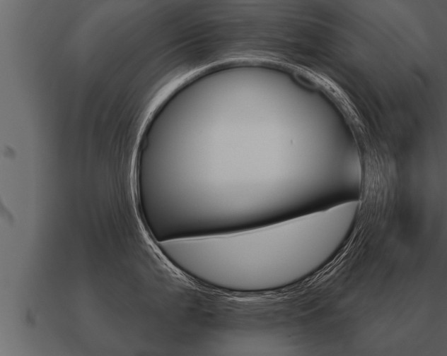 X0000091091199200708060952