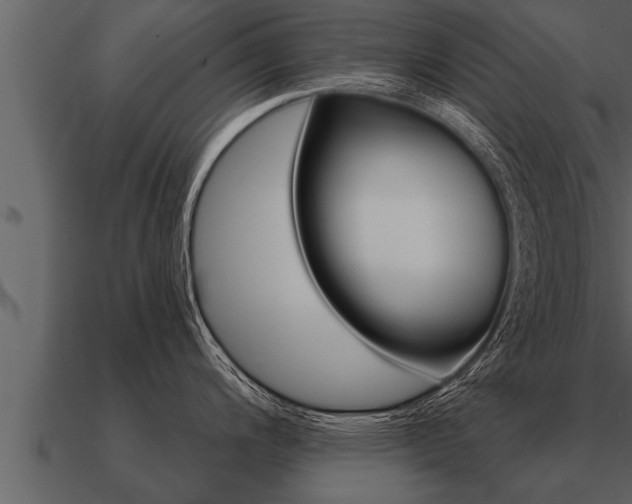 X0000091091200200708060952