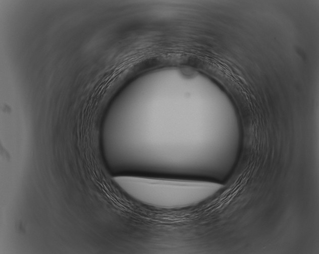 X0000091091201200708060951
