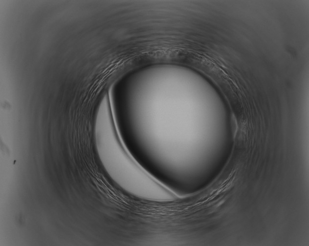 X0000091091202200708060951