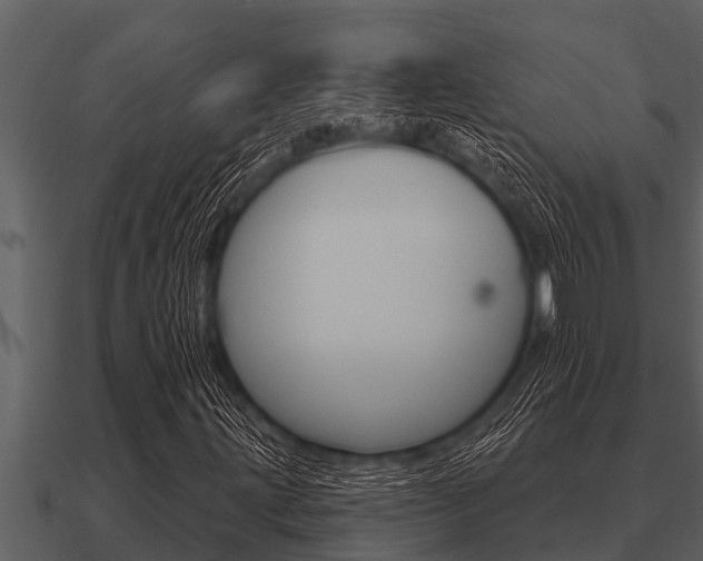 X0000091091203200708060951