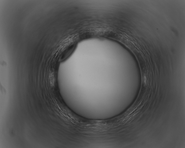 X0000091091204200708060951