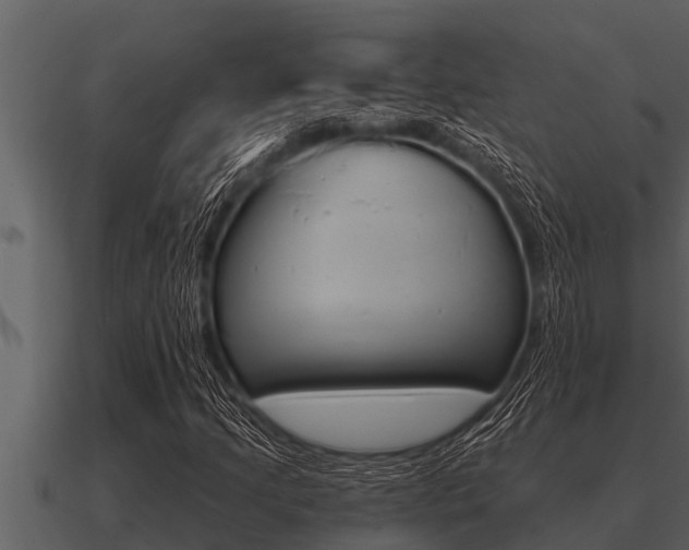 X0000091091205200708060951