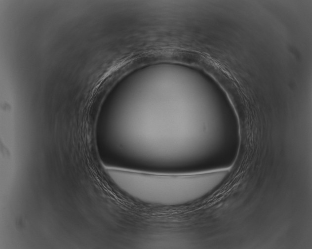 X0000091091206200708060951