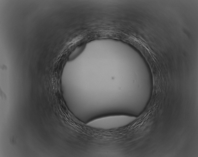 X0000091091207200708060951