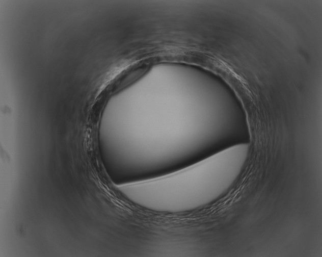 X0000091091208200708060951