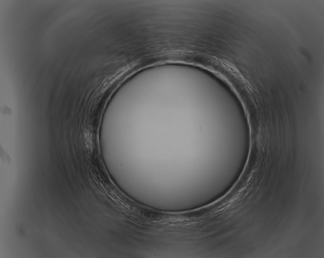 X0000091091209200708060952